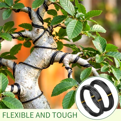 Mudder 5 Roll Aluminum Bonsai Training Wire Tree 1/1.5/2.0/2.5/3mm 118 Feet Total with Bonsai Wire Cutter Anodized Training for Holding Branches Small Trunks(Black) - color: Black, size: 1/1.5/2/2.5/3mm