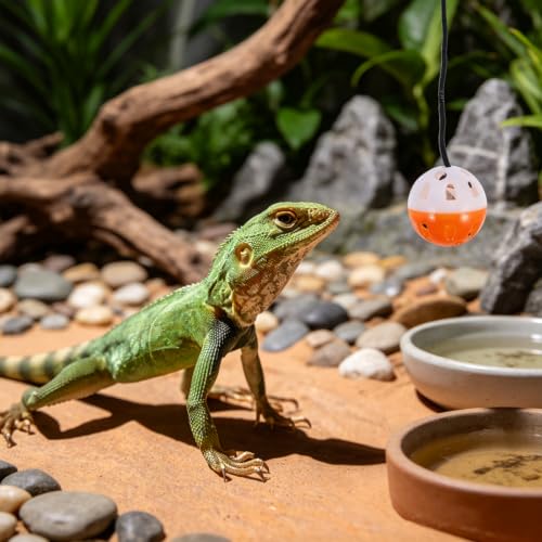 13PCS Bearded Dragon Toys, Set Including 1 Turtle Feeder Ball, 2 Bells Exercise Balls, 10 Climbing Stones,Interactive Toys for Reptile Tank, Lizard and Gecko Play