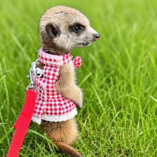 Guinea Pig Harness and Leash Set, Cute Red Plaid Small Animal Dress Vest for Ferrets, Chinchillas and Similar Pets, Adjustable Walking Outfit with 4FT Leash,Red Plaid, M,1530-4 - color: Red Plaid, size: M: 5-7" Neck, 9-10" Chest, GPig/Ferret