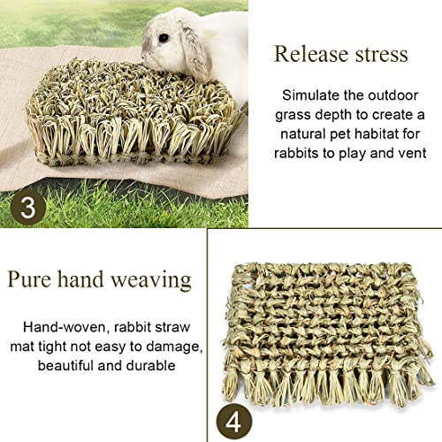 Hamiledyi Rabbit Grass Bed Bunny Natural Woven Foraging Mat Guinea Pig Hay Mat Enrichment Toy Scratch Pad for Chinchilla Squirrel Hedgehog(10.6x7.5x3.5inches) - size: 1PCS