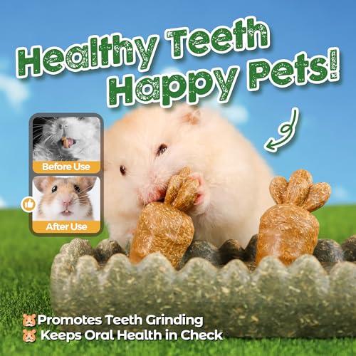 TEEWY Guinea Pig Chew Toys, Prevent Teeth Overgrowth, Natural Timothy Grass & Vegetables, Hamster Chew Toys, Guinea Pig Toys, Chinchilla Toys, 4PCS, Grass Patch & Carrots - style: 4PCS-Grass Patch & Carrots
