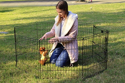 Peekaboo Dog Playpen 24 Inch, 8 Panel Foldable Rustproof Pet Fence, Black | Sturdy Metal Pet Fence,Quick Folding Setup,Indoor and Outdoor Use,Climate Pledge Friendly Choice - style: Only playpen