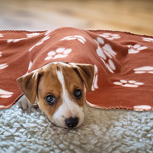Tatuo 10 Pieces Pet Blankets with Paw Print Dog Cat Fleece Blankets Soft Warm Sleep Mat Pad Bed Cover for Kitten Puppy and Other Small Animals, 24 x 28 Inch(Vibrant Color) - color: Vibrant Color