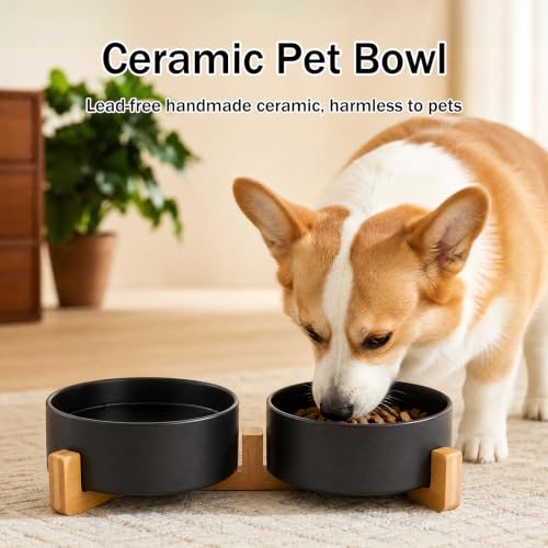 MateeyLife Ceramic Dog and Cat Bowls with Stand, 2-Pack Food and Water Bowl Set - Non-Slip Pet Bowls for Small & Medium Size Dogs，28.7OZ(Black) - color: Black, size: M-3Cup