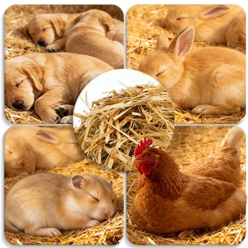 Natural Wheat Straw - 1LB Dry Clean Soft Decorative Straw Bale | for Stray Cats Dogs Shelter,straw bedding for cats, Warm Chicken Coop Yard Farm Pets Bedding Garden Mulch Weed Cove - color: 1LB