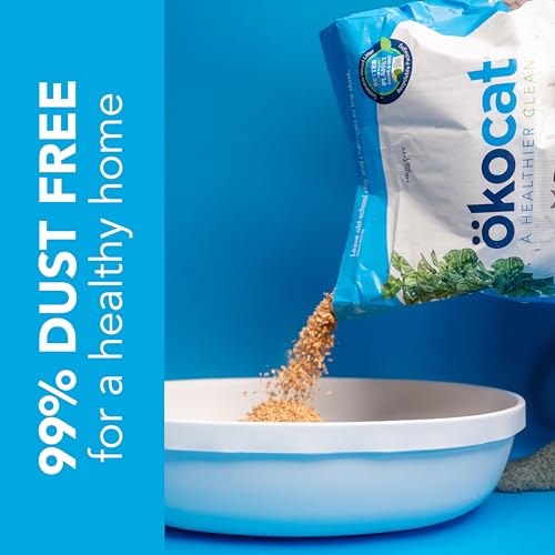 ökocat Original Natural Wood Clumping Cat Litter, Odor Control 18.8 lbs - size: Large Bag, style: Original