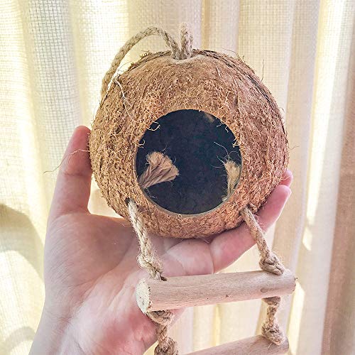 Bird Hides Coconut Nest with Wood Ladder,Syrian Hamster Cage Hanging Natural Coco Shell Hut Hide Toy with Wooden Bridge,Hollow Hideaway Toys for Small Animal Rat Lovebird Finches - size: 1PCS 22.04x13.38in