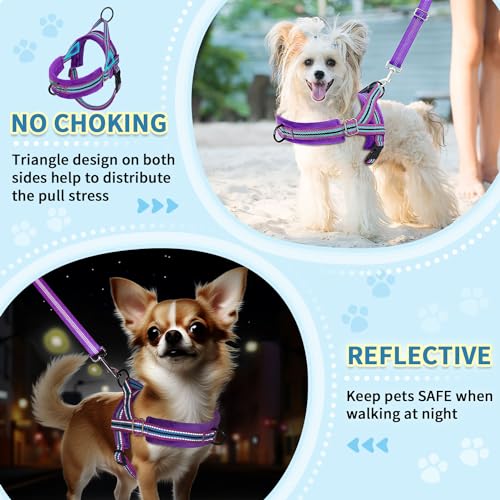 SlowTon No Pull Small Dog Harness and Leash Set with Front Clip | Soft Padded, Neck & Chest Adjustable, Lightweight, Anti-Twist, Puppy Vest Harness Pet Lead Combo for Small Medium Dog, PU S - color: Purple, size: Small