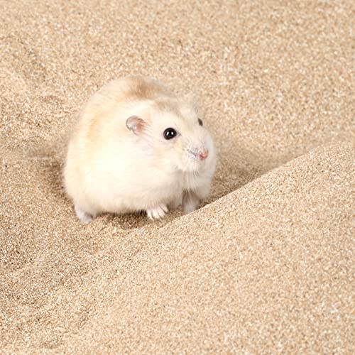 BUCATSTATE Hamster Sand, No-Dust 3.3LB Chinchilla Dust Bath with Pour Spout, 100% Natural Desert Bathing Sand for Syrian Hamster Gerbil Rat Mice Small Animals (Fine Sand) - color: Fine Sand, size: 3.3LB