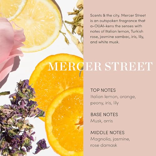 OUAI Fur Bébé Pet Shampoo - Mercer Street Scent (16 Fl oz) | Cat & Dog Shampoo for Gentle Cleansing, Hydration & Shine - Vegan & Cruelty-Free Pet Supplies with Aloe Vera & Panthenol