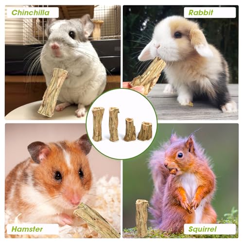 Abizoo Rabbit chew Toys for Bunnies,4 Pcs Natural Papaya Wood Chew Sticks Bunny Chews for Teeth Chinchilla Guinea Pig Hamster Gerbil Degu Small Animals to Keep Busy Molar Treats Toys - size: M
