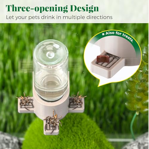 2 Pcs 10ML Jumping Spider Water Dispenser with Magnets, Wooden | Gravity-Fed Automatic Water Supply, Safe Material forTarantulas Enclosure/Habitat, Flexible Magnetic Installation
