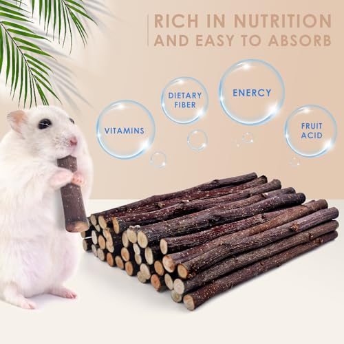 Bissap Apple Sticks for Rabbits, Natural Bunny Chew Toys and Treats for Chinchilla Guinea Pig Hamster Gerbil Small Animals Pet Apple Wood Stick Toys Teeth Grinding (230g/8.1oz) - size: 8.1 Ounce (Pack of 1)
