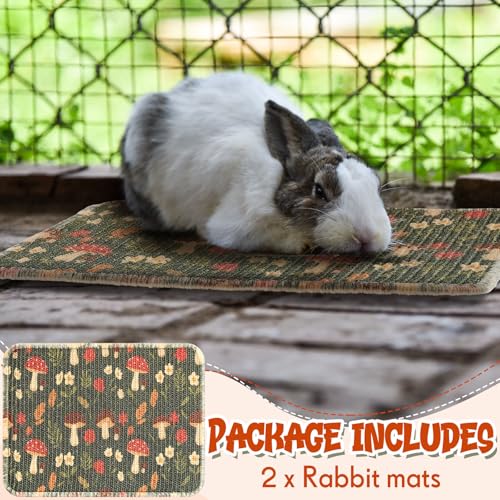 Drydiet 16 x 12 Inch 2 Pcs Rabbit Scratch Mat Natural Bunny Scratching Pad Claws and Teeth Care Rabbit Mats for Cages Chew Toys Bunny Pet Cage Bedding for Biting Sleeping Nesting