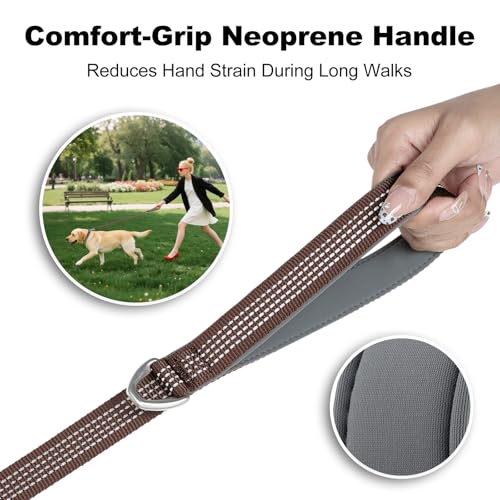 Plutus Pet Heavy Duty Dog Leash with Lockable Aluminum Carabiner, 6 FT Long | Double-Sided Reflective Nylon, Padded Handle, Heavy Duty, for Puppy Small Medium and Large Dogs (Chocolate, 4/5" x 6') - color: Chocolate, size: 4/5" x 6'