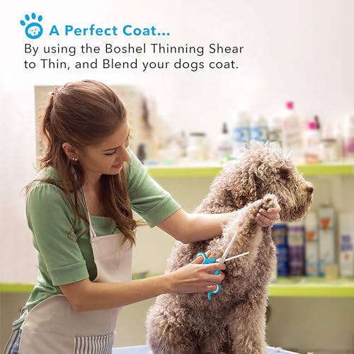 3 Pc Dog Grooming Scissors Kit - 7" Scissor For Body Hair Trimming, 6" Small Micro-serrated Scissor For Face, Ear, & Paws, Thinning Shears For Dogs - Professional Dog Grooming Kit For Cat & Pet - size: 3 Pack