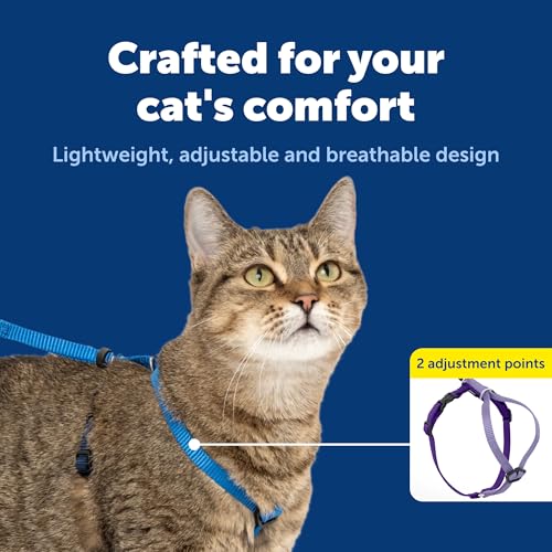 PetSafe Come with Me Kitty Harness and Bungee Cat Leash, Royal Blue, Small | Adjustable 2-Point Fit Applies Gentle Pressure to Shoulders, Not Neck, for Kittens and Small Cats with 9 in - 11 in Girth - color: Royal Blue, size: Small (Pack of 1)