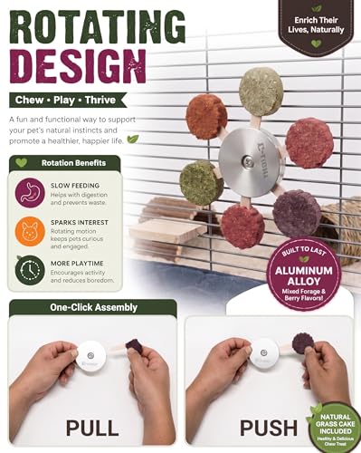 C-LIGHT Guinea Pig Chew Toys, Rotating Spinner + 8 Pcs Timothy, 5 viggies | Hay for Teeth Grind & Digestion, Rust-Proof Aluminum Toy, for Rabbit, Bunny, Chinchilla, Hamster Dental Health (Sliver)