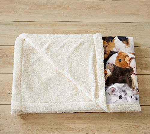 Kids Guinea Pig Fleece Blanket Boys Girls Cute Cavy Animal Sherpa Throw Blanket for Bed Sofa Couch Lovely Funny Pet Plush Blanket Boys Girls Ultra Soft Warm Plush Flannel BlanketThrow 50"x60" - color: Multi 15, size: Throw