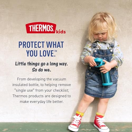 THERMOS FUNTAINER Water Bottle with Straw - 12 Ounce - Kids Stainless Steel Vacuum Insulated Water Bottle with Lid, Masters of the Universe - color: Masters of the Universe, size: 12 Ounces