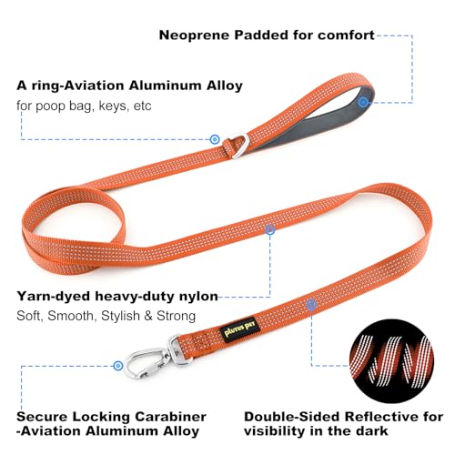 Plutus Pet Heavy Duty Dog Leash with Lockable Aluminum Carabiner, 4 FT Long | Double-Sided Reflective Nylon, Padded Handle, Heavy Duty, for Puppy Small Medium and Large Dogs (Orange, 1" x 4') - color: Orange, size: 1" x 4'