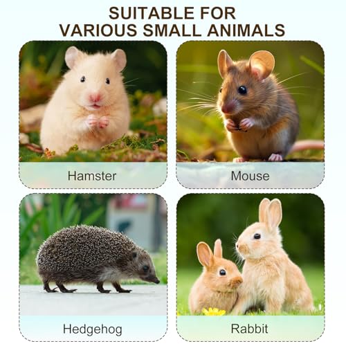 Large Lab Mouse Cage, Laboratory Rat Rodent Breeding Cage, Small Animal Cage, Mouse Breeding & Weaning Cage (XL) - size: 21.5"L x 15.4"W x 7.9"H
