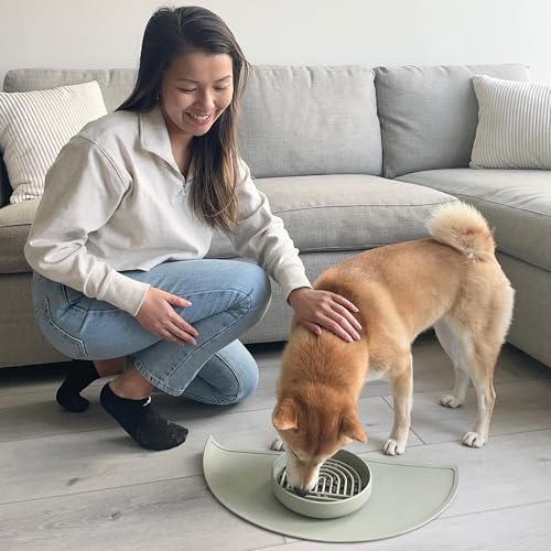 Slow Feeder for Dogs & Puppies, The Slowdown Bowl Silicone Slow Eating, Modern Lick Mat Design, Reduces Gulping, Fits 2 Cups, 7.5” Across x 1.5” Tall, Mealtime Challenge, Medium-Sage - color: Sage - Rainbow Design, size: Medium (7.5” Across x 1.5” Tall)