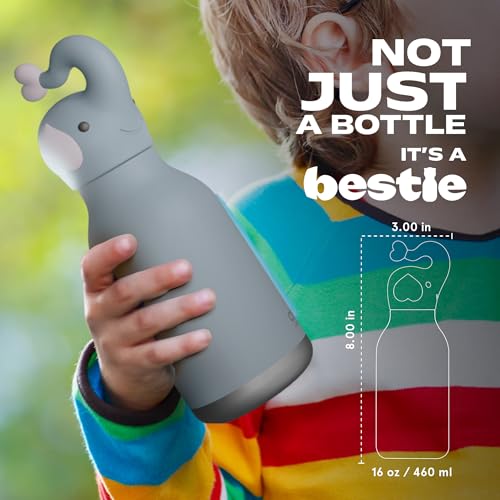 asobu Bestie Water Bottle, Cute Collectible Character, Leak Proof, BPA Free | 16 oz, Stays Cold 24 Hours, Double Wall Vacuum Insulation, Food Grade Stainless Steel, Spill Resistant, Great Gift Idea - color: TOLANI THE ELEPHANT