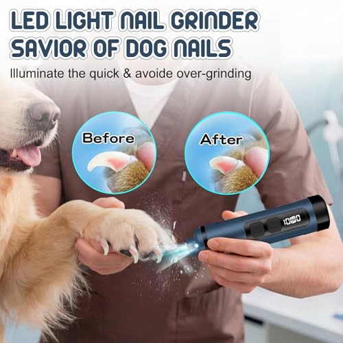 Dog Nail Grinder Electric Powerful 3 Speeds Dog Nail Clippers with Lights Quiet Cat Nail Clipper Painless Care Trimmers Tools for Small Medium Large Dogs and Cats (Blue) - color: Blue