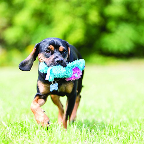 KONG Cozie Funky Monkey, Squeaky Plush Dog Toy, for Medium Dogs - size: Medium, style: Spunky the Monkey