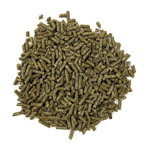 Oxbow Essentials Adult Guinea Pig Food - All Natural Adult Guinea Pig Pellets- No Artificial Ingredients- Veterinarian Recommended- All Natural Vitamins & Minerals- Made in the USA - 25 lb. | Guinea Pig Pellets, Vitamin C For Guinea Pigs, Stabilized, High