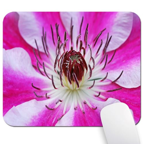 Pink and White Clematis Flower Mouse Pad, Delicate Floral Desk Mat | 9.5"x 7.9", Vibrant Nature Flowers Close-Up Art, Cute Smooth & Anti-Slip Mousepad - color: Colorful Design Wknoon-Art 34