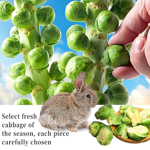 Hamiledyi Rabbits Chew Treats Dried Brussels Sprouts & Carrots for Guinea Pigs Chinchillas Hamsters Bunny Natural Small Animal Chew Toys for Teeth Grinding Foraging Treats (13.8OZ) - style: Style B