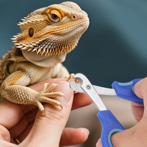 BOXOB Bearded Dragon Nail Clippers and File, Stainless Steel Small Animal Toe Nail Trimmer Scissors Professional Grooming Pet Tool for Reptiles Turtle Chameleon Iguana (Blue)