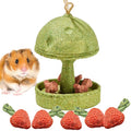 Hamiledyi Guinea Pig Chew Toys Rabbit Chew Toys for Teeth Natural Hamster Treats Prevent Teeth Overgrowth for Syrian Hamsters Gerbils Rat Bunny Chinchilla Small Animals - style: Style B