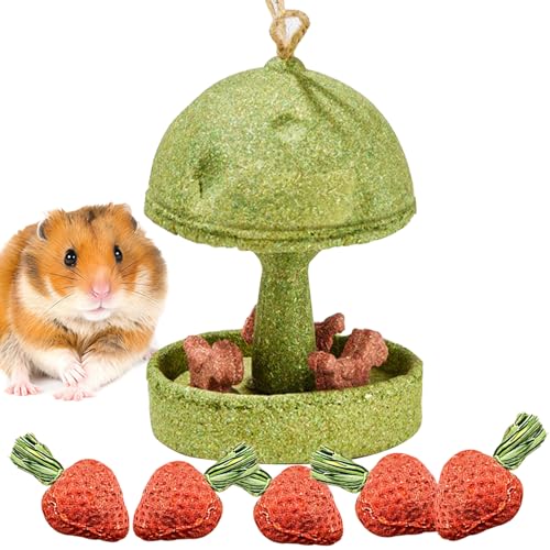 Hamiledyi Guinea Pig Chew Toys Rabbit Chew Toys for Teeth Natural Hamster Treats Prevent Teeth Overgrowth for Syrian Hamsters Gerbils Rat Bunny Chinchilla Small Animals - style: Style B
