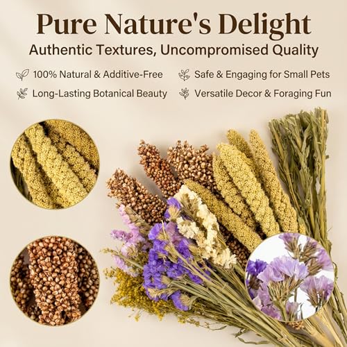 Sukh Natural Hamster Bedding Sprays - Foraging Cage Accessories | Habitat Decor & Enrichment for Dwarf and Syrian Hamsters, Gerbils, Mice and Small Animals Cage Hideout Accessories