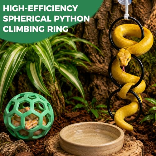 Snake Enrichment Toys for Ball Python, Includes Jungle Gym Ball with Chain, Climbing Rings for Small Corn Snake, Small Reptiles Exploring&Climbing Accessories