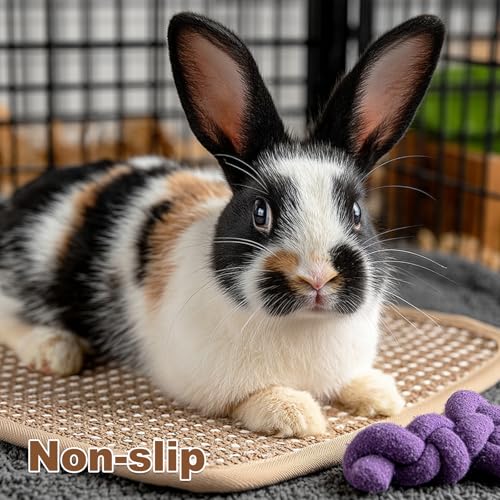 3PCS Rabbit Scratch Mat, Natural Bunny Scratching Pad Claws and Teeth Care Rabbit Mats for Cages Chew Toys for Bunny Pet Cage Bedding for Biting Sleeping Nesting (11x14 inch) - size: 11x14 inch