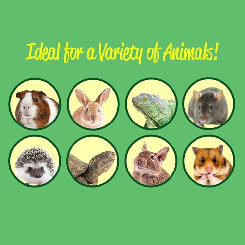 Sahara Cage - Unique & Modern Cage for Hamsters, Gerbils, Degus, Rats, Hedgehogs, Reptiles, and Other Small Animals (Large) - size: Large