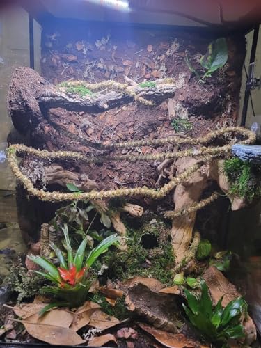 Galápagos (05346) Mossy Cave Hide, 4", Green - size: 4"
