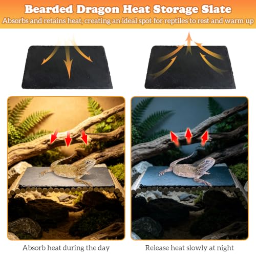 Reptile 19.7x5.9″Bendable Wooden Bridge with 5.9x9.8″Slate Rock Bearded Dragon Basking Platform Set Climbing Hideout Basking Terrace and Hide Cave for Lizard Flexible Gecko Habitat Decor - size: L: 19.7x5.9″ Wooden Bridge,5.9x9.8″Slate Rock