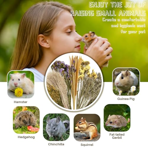 Sukh 47 Pcs Hamster Sprays - Natural Dried Flower and Herb Forage Mix | Sprays for Hamster Cage Accessories, Habitat Decor & Enrichment for Syrian Dwarf Hamsters, Gerbils, Guinea Pigs, Small Pets