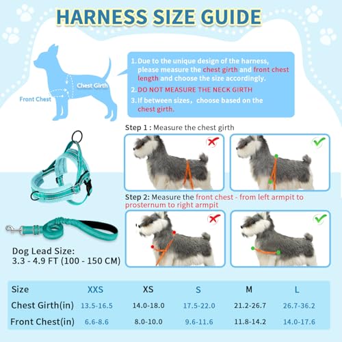 SlowTon No Pull Small Dog Harness and Leash Set with Front Clip | Soft Padded, Neck & Chest Adjustable, Lightweight, Anti-Twist, Puppy Vest Harness Pet Lead Combo for Small Medium Dog, TL XXS - color: Teal, size: XX-Small