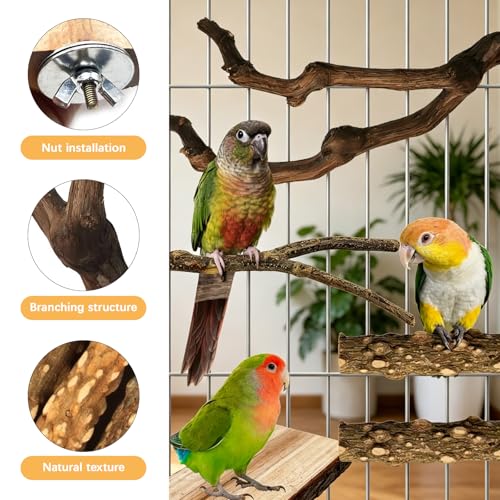 5PCS Bird Perch Stand, Bird Perch Stand Natural Wood Standing | Birds Cage Accessories,Natural Wood Pole Standing Paw Grinding Fork, Suitable for Most Birds, Such as Lovebirds, Parrots - color: Wood