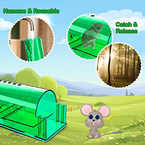 4 Pcs Humane Live Mouse Traps No Kill Reusable Mice Trap Catch | Green, PC Material, Reusable Capture & Release, Use for Home, Waterproof - size: 4 Pack