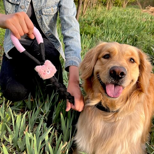 4FT Heavy Duty Braided Rope Dog Leash, Soft Cotton Design with Locking Clip for Medium & Large Dogs – Ideal for Walking & Training (Black – Bear Plush) - color: Black – Bear Plush