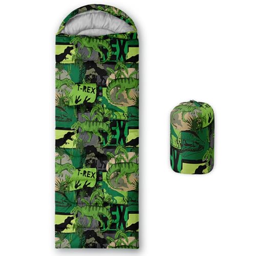 AILONEN Cartoon Car Sleeping Bags,Lightweight & Waterproof,3 Season Warm & Cool Weather,Cute Stars Printed Vehicles Transportation Sleeping Bags for Boys,Kids,Adults Travelling,Outdoors - color: Dinosaur2