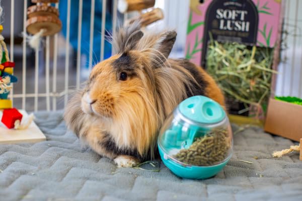 Oxbow Enriched Life Wobble Teaser Toy for Rabbits, Guinea Pigs, Hamsters, Rats - style: Wobble teaser