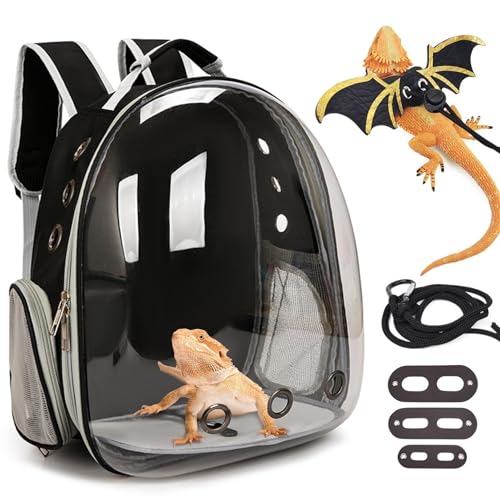 kathson Bearded Dragon Carrier with Harness and Leash Set, Large Reptile Travel Carrier Portable Lizard Backpack Clear Small Animals Carrying Bag for Gecko Hamster Rabbit Hedgehog Kitten (Black) - color: Black